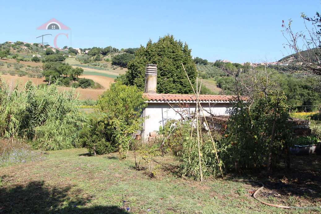 amelia-annessi con terreno-vicino al centro-strada di facile accesso-posizione soleggiata 3.png